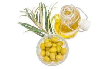 stock-photo-green-olives-olive-oil-and-olive-branch